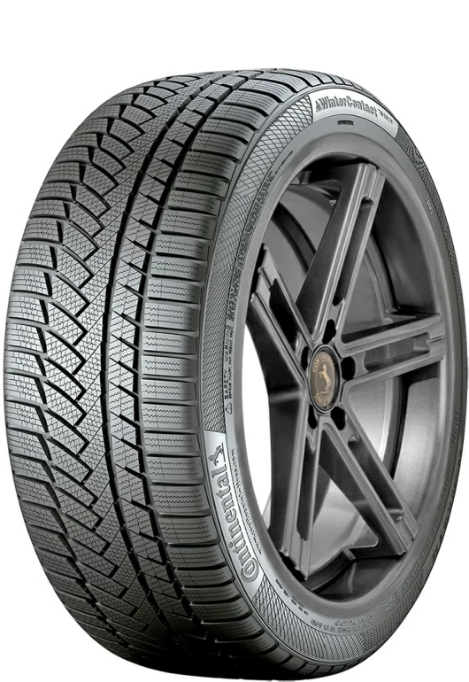 Continental ContiWintCont TS 850P